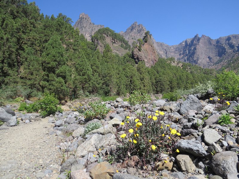 (156) Near the campsite in the Caldera Taburiente.JPG